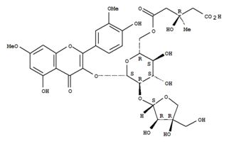 洛克化工网 CASNo. 快速索引指南 高效查询化工产品信息